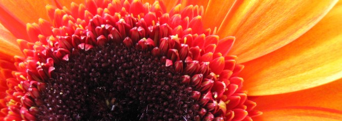 This is a Test Post