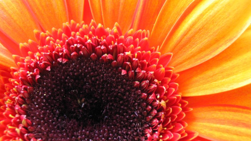 This is a Test Post