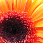 This is a Test Post