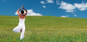 iStock_000014138078Small