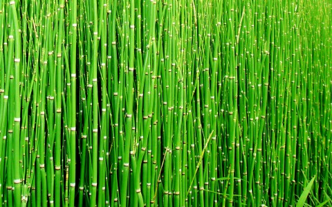 This is a Test Post With Some Comments
