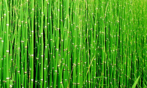 This is a Test Post With Some Comments