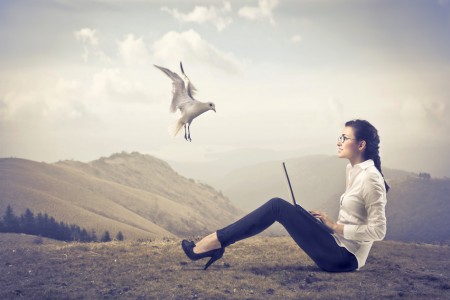 How to Write a Post