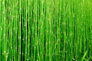 This is a Test Post With Some Comments