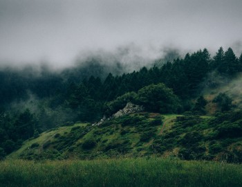 Test post #14 Test post #14