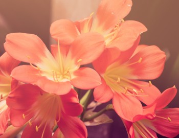 Test post #16 Test post #16